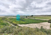 Country house with land for sale on España, Totana, ref: TR396659 photo