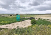 Country house with land for sale on España, Totana, ref: TR396659 photo