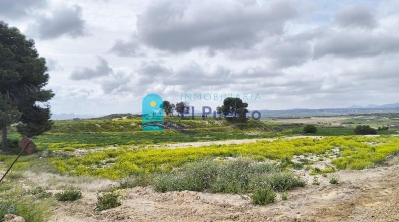 Murcia - Totana - 16562m2