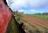 Casa de campo con terreno en venta en la España, Icod de los Vinos, ref: TR384395 foto