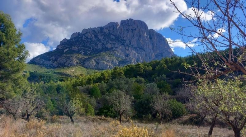 Alicante - Finestrat - 27800m2