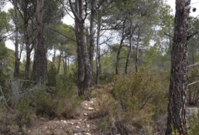 Foto 14
