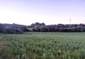 Parcela urbanizable en venta en la España, Manacor, ref: TR389516 foto