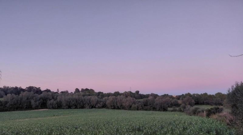 Islas Baleares - Manacor - 14300m2