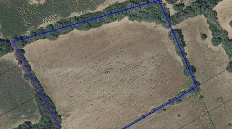 Islas Baleares - Manacor - 14300m2