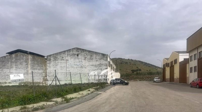 Кордова - Лусена - 1515m2