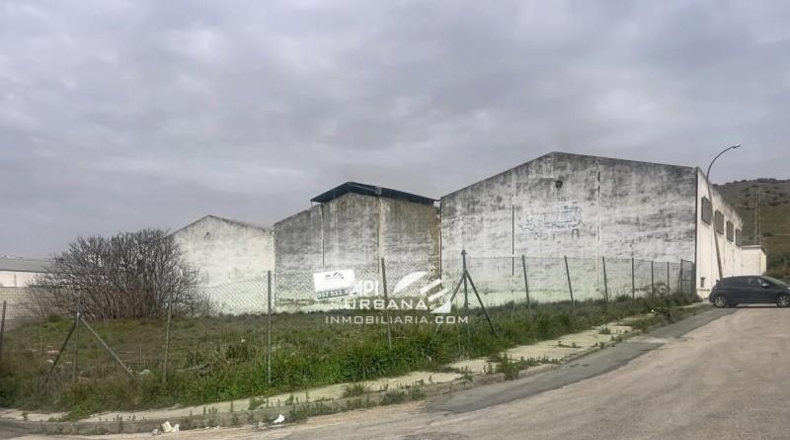 Кордова - Лусена - 1515m2