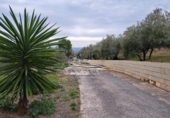 Xalet independent amb terreny en venda a la España, Lucena, ref.: TR242012 foto