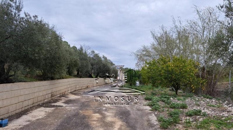 Córdoba - Lucena - 15442m2