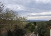 Xalet independent amb terreny en venda a la España, Lucena, ref.: TR242012 foto