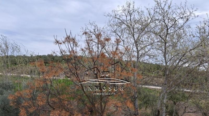 Córdoba - Lucena - 15442m2