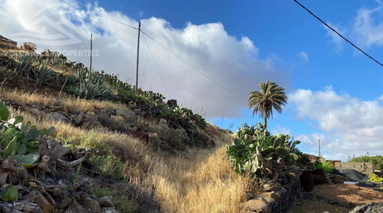 Las Palmas - Teguise - 2282m2