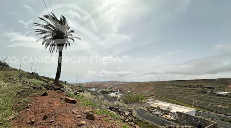 Las Palmas - Teguise - 2282m2