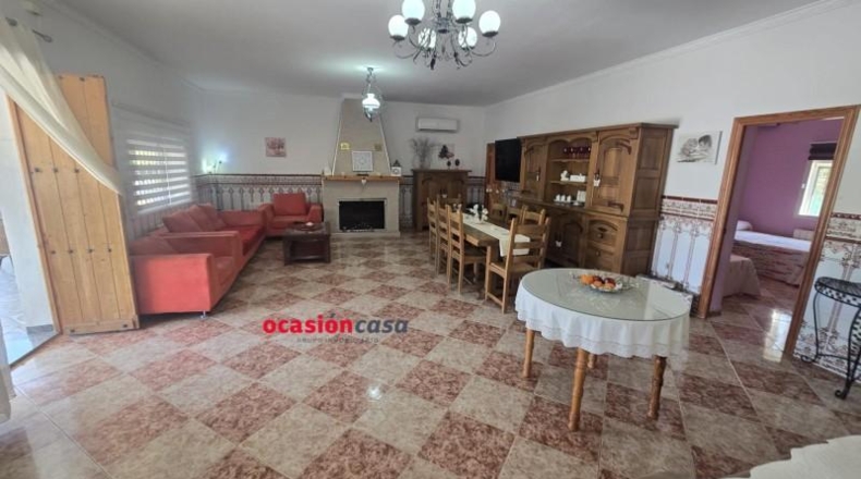 Córdoba - Peñarroya-Pueblonuevo - 2500m2