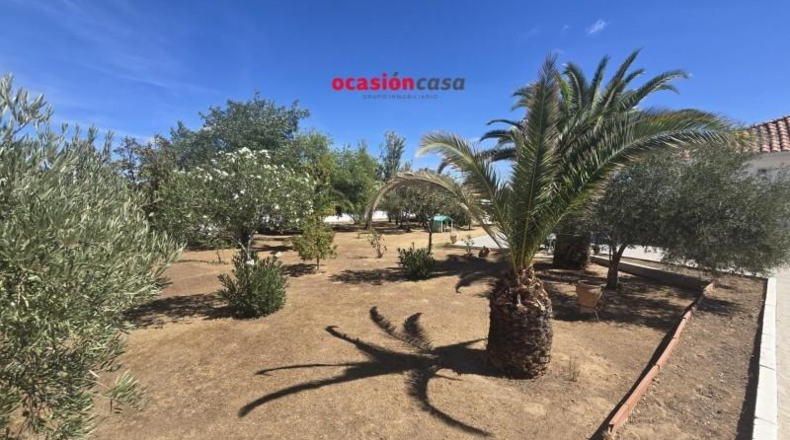 Córdoba - Peñarroya-Pueblonuevo - 2500m2