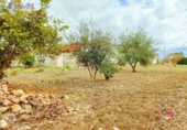 Country house with land for sale on España, Alguazas, ref: TR140088 photo