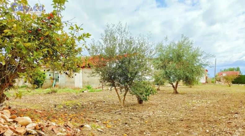 Murcia - Alguazas - 304m2