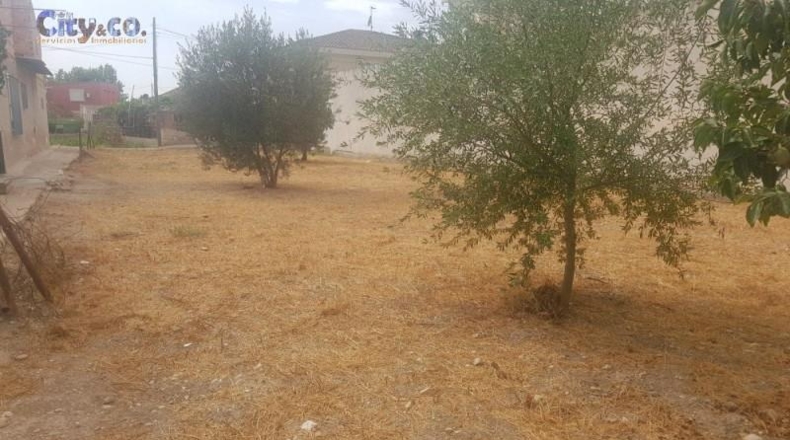 Murcia - Alguazas - 304m2