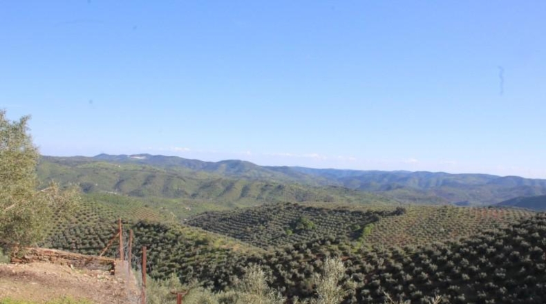 Cordova - Pozoblanco - 99000m2