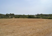 Xalet independent amb terreny en venda a la España, Muro, ref.: TR120150 foto