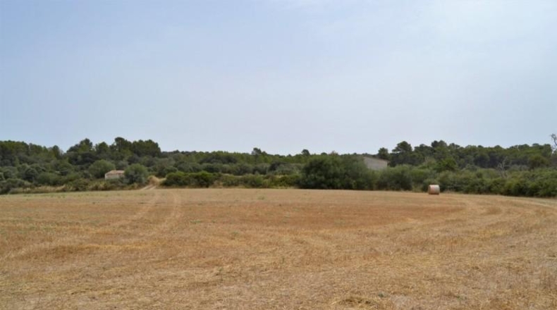 Balearic Islands - Muro - 26776m2