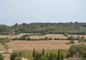 Xalet independent amb terreny en venda a la España, Muro, ref.: TR120150 foto