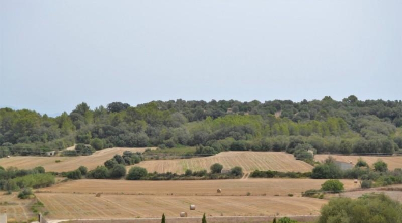 Balearic Islands - Muro - 26776m2