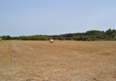 Xalet independent amb terreny en venda a la España, Muro, ref.: TR120150 foto