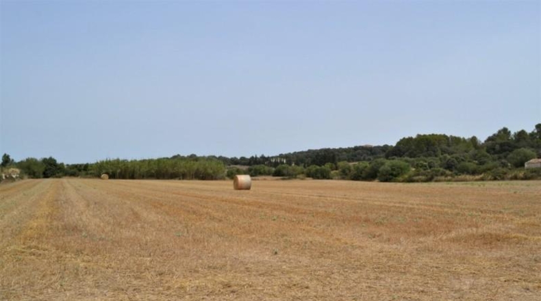Balearic Islands - Muro - 26776m2