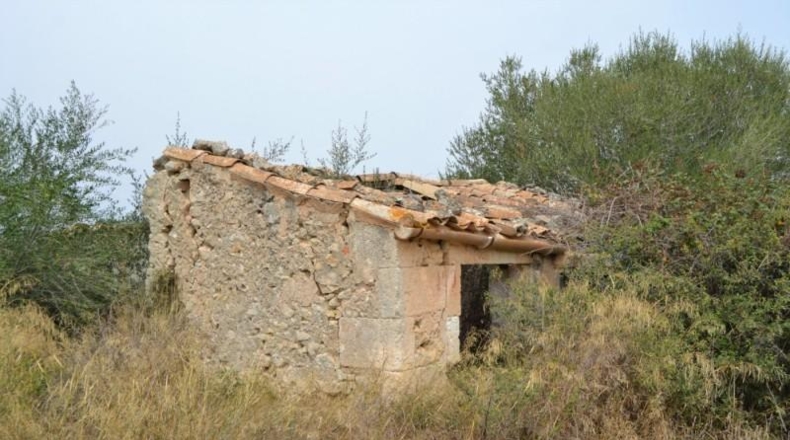 Balearic Islands - Muro - 26776m2