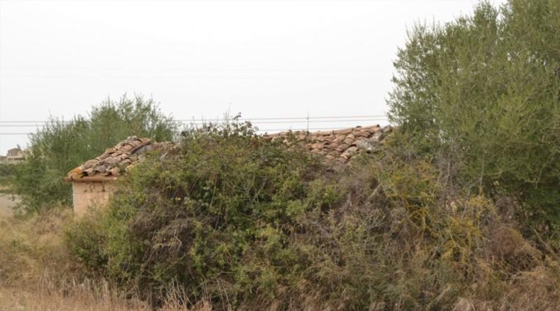 Balearic Islands - Muro - 26776m2