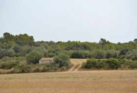 Foto 8