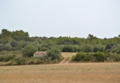 Xalet independent amb terreny en venda a la España, Muro, ref.: TR120150 foto