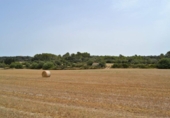 Xalet independent amb terreny en venda a la España, Muro, ref.: TR120150 foto