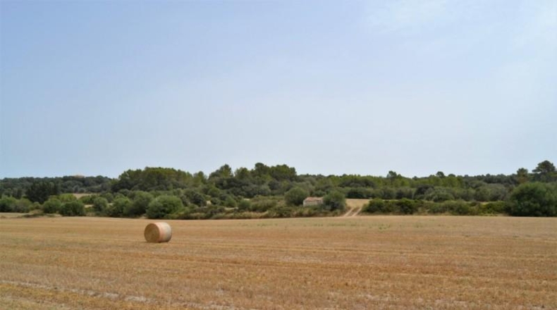 Balearic Islands - Muro - 26776m2