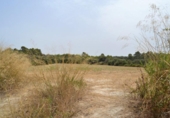 Xalet independent amb terreny en venda a la España, Muro, ref.: TR120150 foto