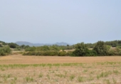 Xalet independent amb terreny en venda a la España, Muro, ref.: TR120150 foto