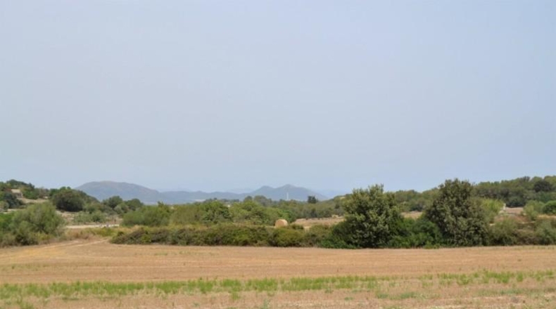 Balearic Islands - Muro - 26776m2