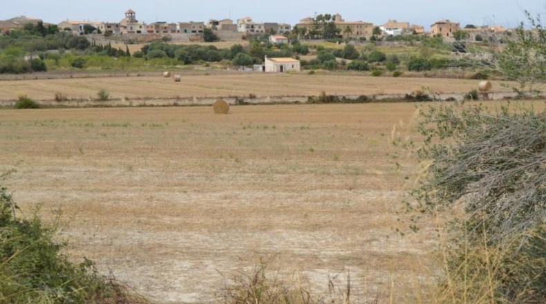 Balearic Islands - Muro - 26776m2
