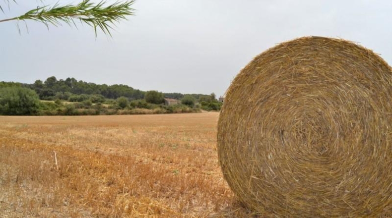 Balearic Islands - Muro - 26776m2