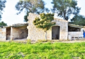 Chalet independiente con terreno en venta en la España, Muro, ref: TR152051 foto