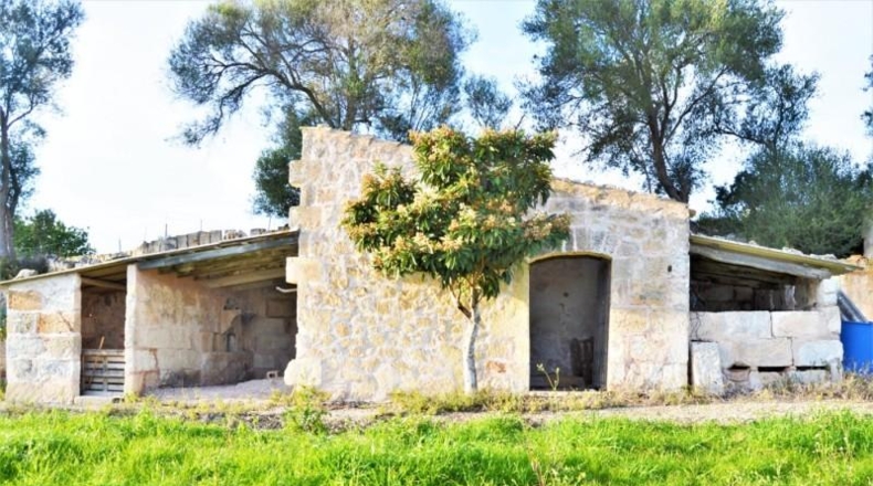 Islas Baleares - Muro - 22547m2