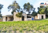 Chalet independiente con terreno en venta en la España, Muro, ref: TR152051 foto