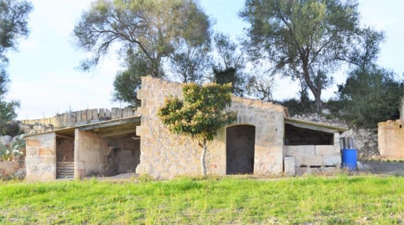 Islas Baleares - Muro - 22547m2