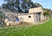 Chalet independiente con terreno en venta en la España, Muro, ref: TR152051 foto