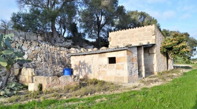 Islas Baleares - Muro - 22547m2