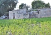 Chalet independiente con terreno en venta en la España, Muro, ref: TR152051 foto