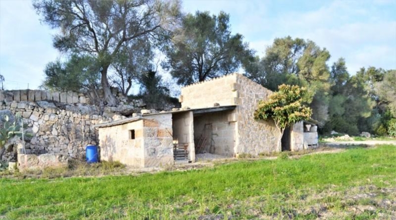 Islas Baleares - Muro - 22547m2