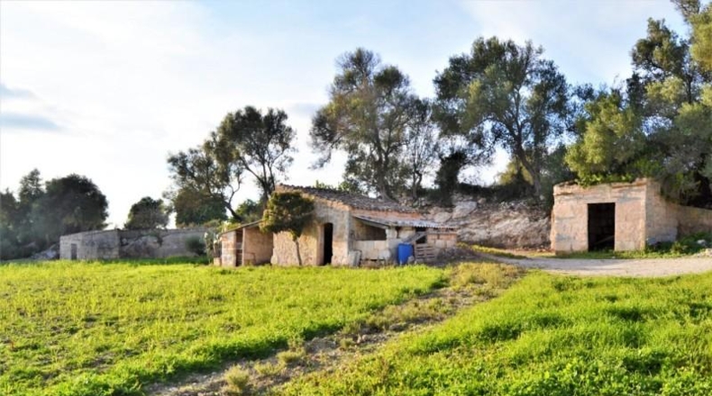 Islas Baleares - Muro - 22547m2