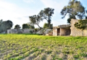 Chalet independiente con terreno en venta en la España, Muro, ref: TR152051 foto